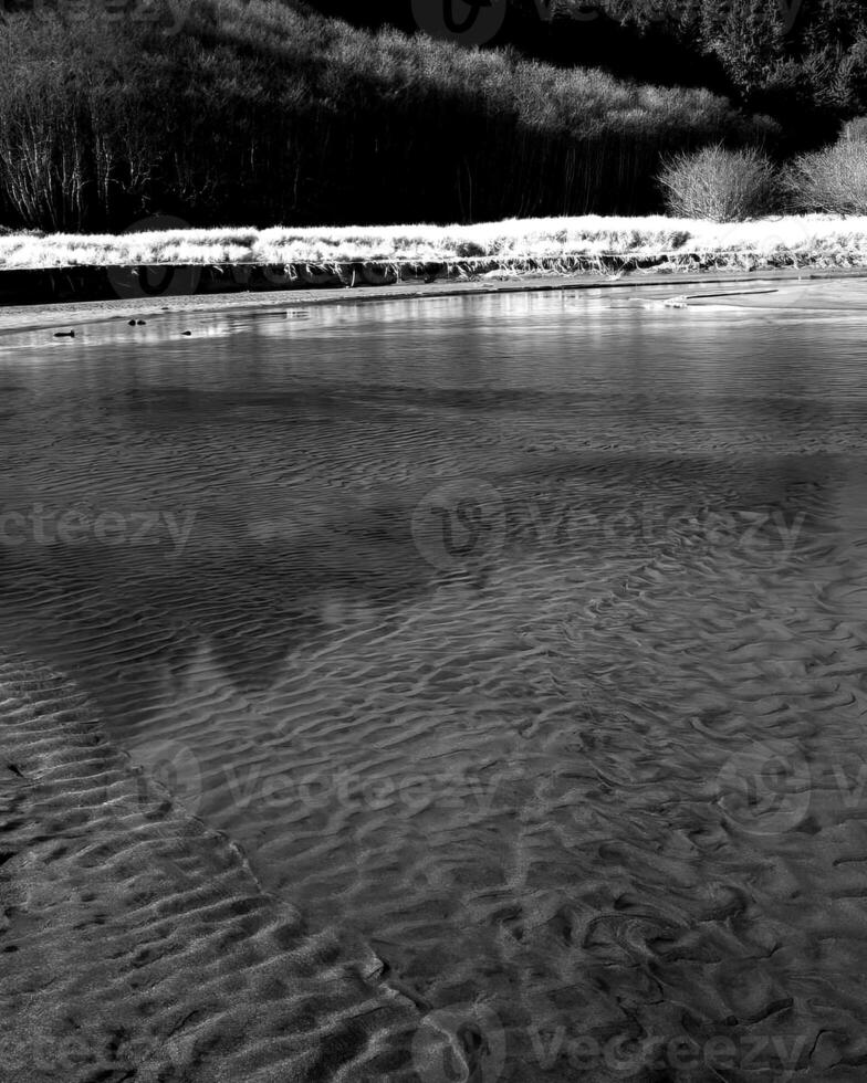 Lake a forest landscape black and white photo background, natural waterscape