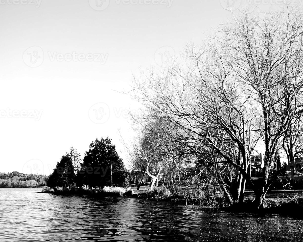 Lake a forest landscape black and white photo background, natural waterscape