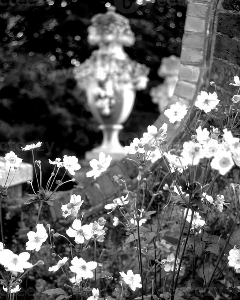 Garden background. Spring or summer gardening with plants and flowers photo