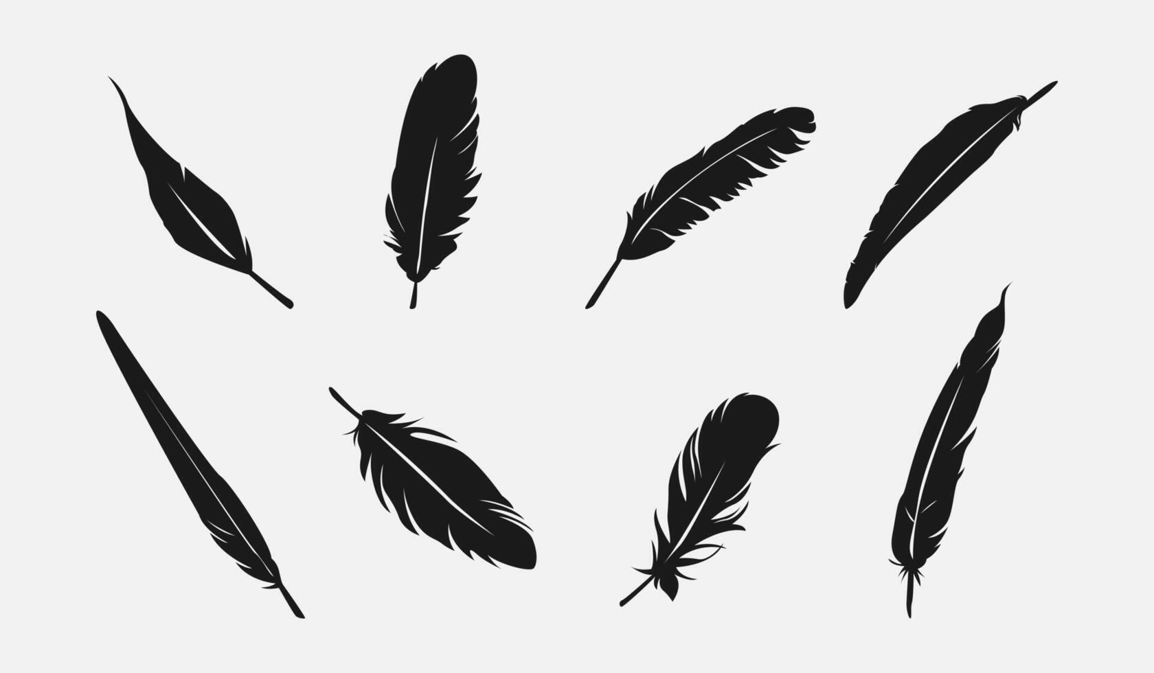 Set silhouette of feathers. Isolated on white background. Graphic illustration. vector