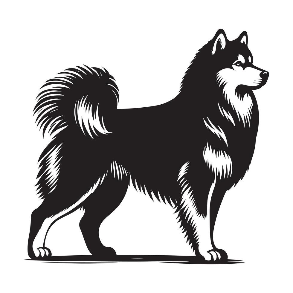 Siberian Husky vectors silhouette