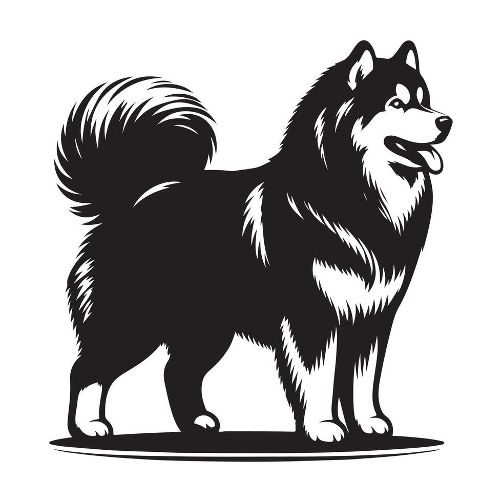 Siberian Husky vectors silhouette