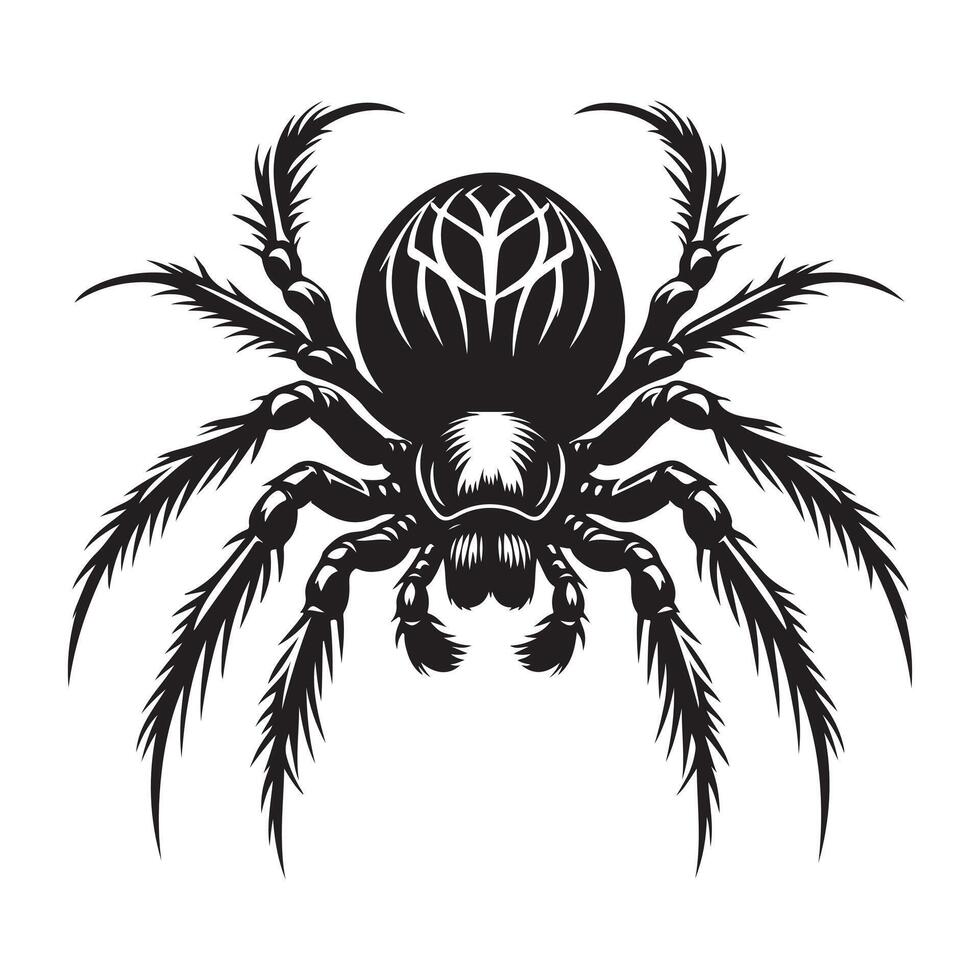 Spider vectors silhouette