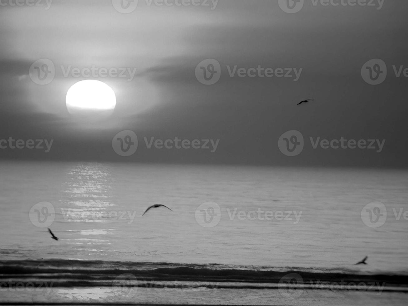 Sunset or sunrise sky black and white monochrome background photo