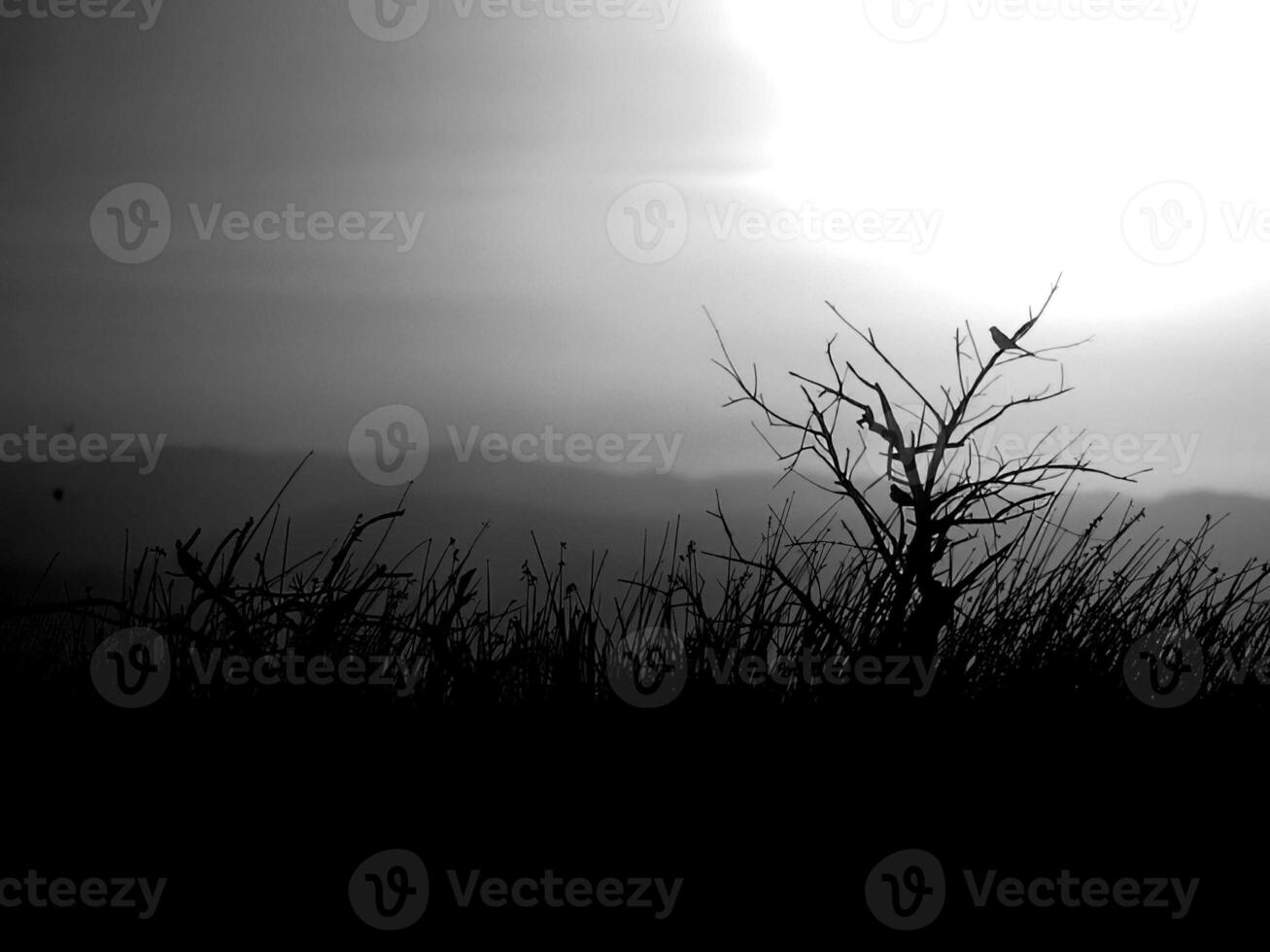 Sunset or sunrise sky black and white monochrome background photo