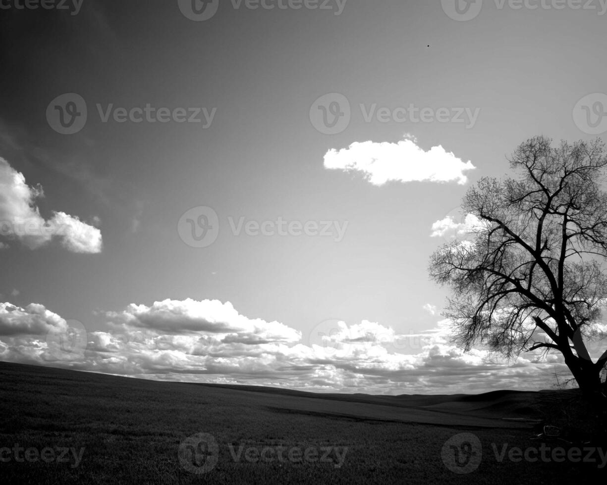 Sunset or sunrise sky black and white background photo