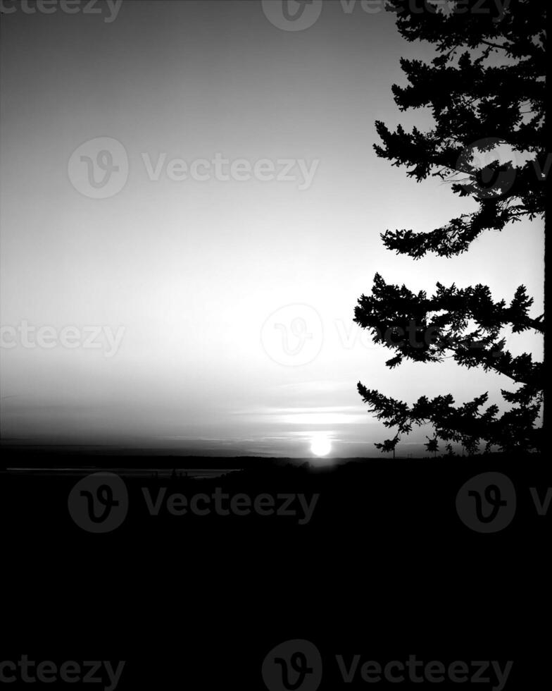 Sunset or sunrise sky black and white monochrome background photo