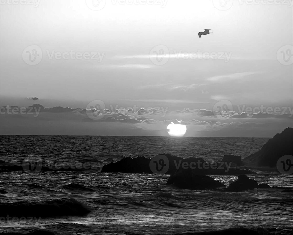 Sunset or sunrise sky black and white monochrome background photo