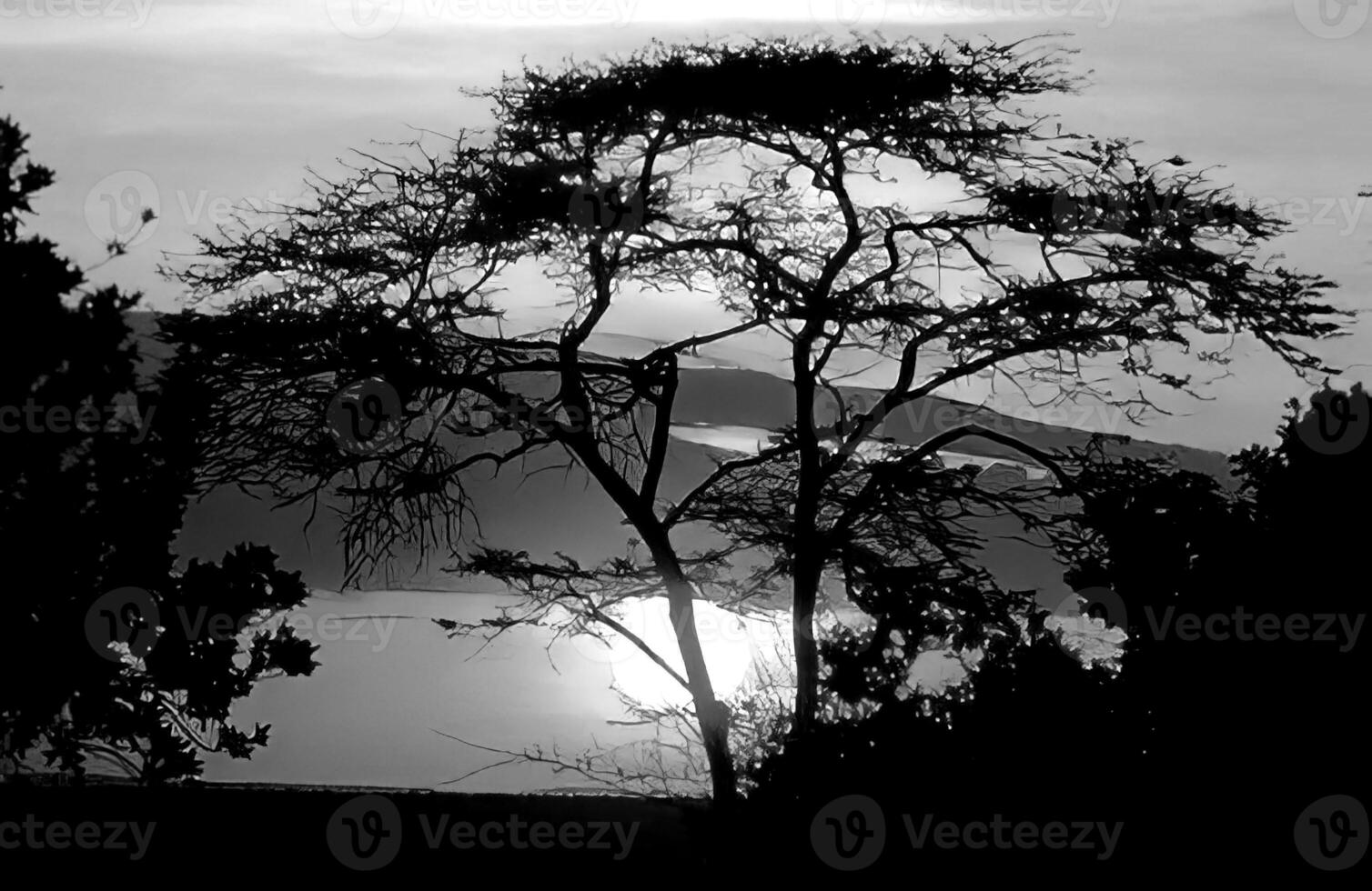 Sunset or sunrise sky black and white background photo
