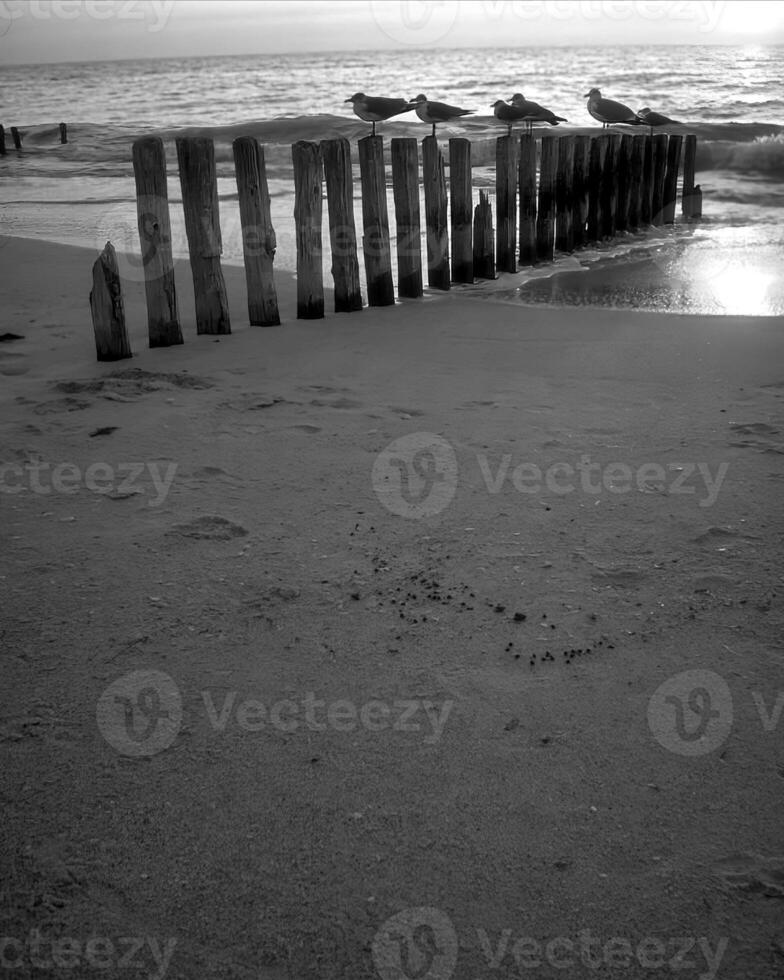 Sunset or sunrise sky black and white background photo