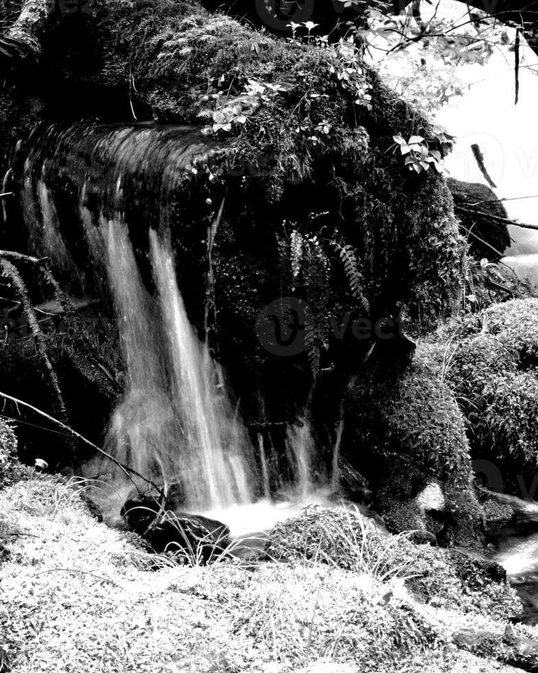 Waterfall and the mountain river background. Waterscape natural environment black and white photo background