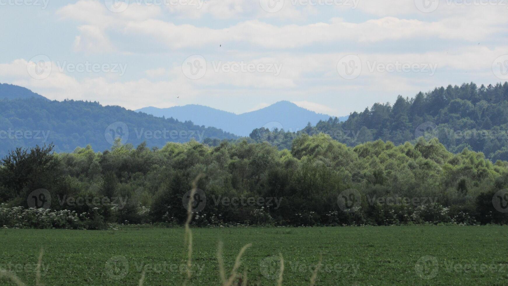 a beautiful view of a green field and mountains photo