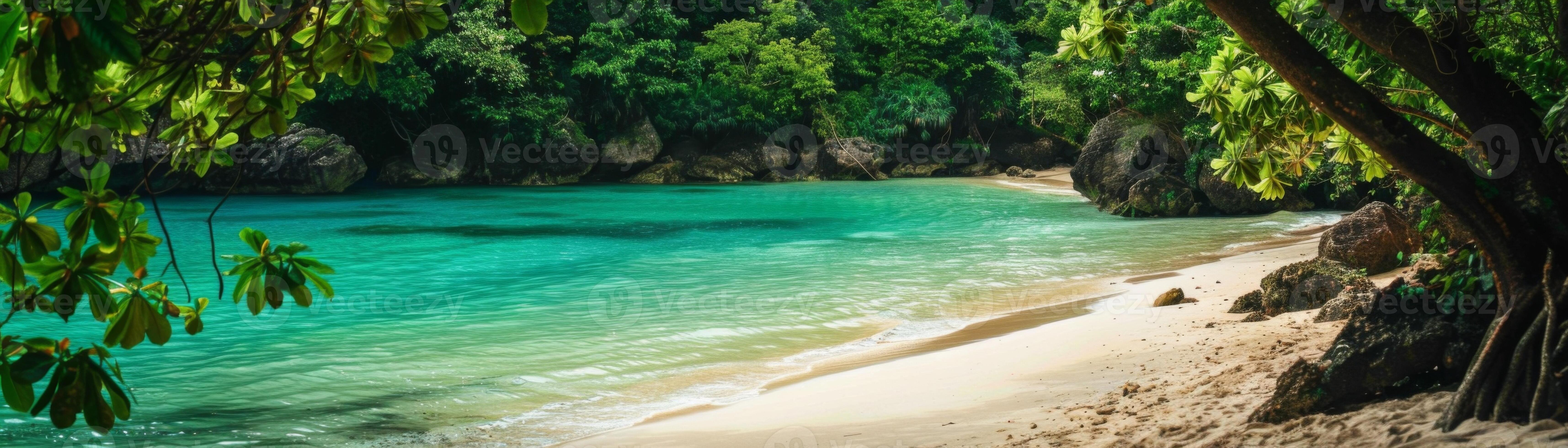 Secluded Tropical Beach with Crystal Clear Water 47158756 Stock Photo Secluded Tropical Beach with Crystal Clear Water 47158756 Stock Photo