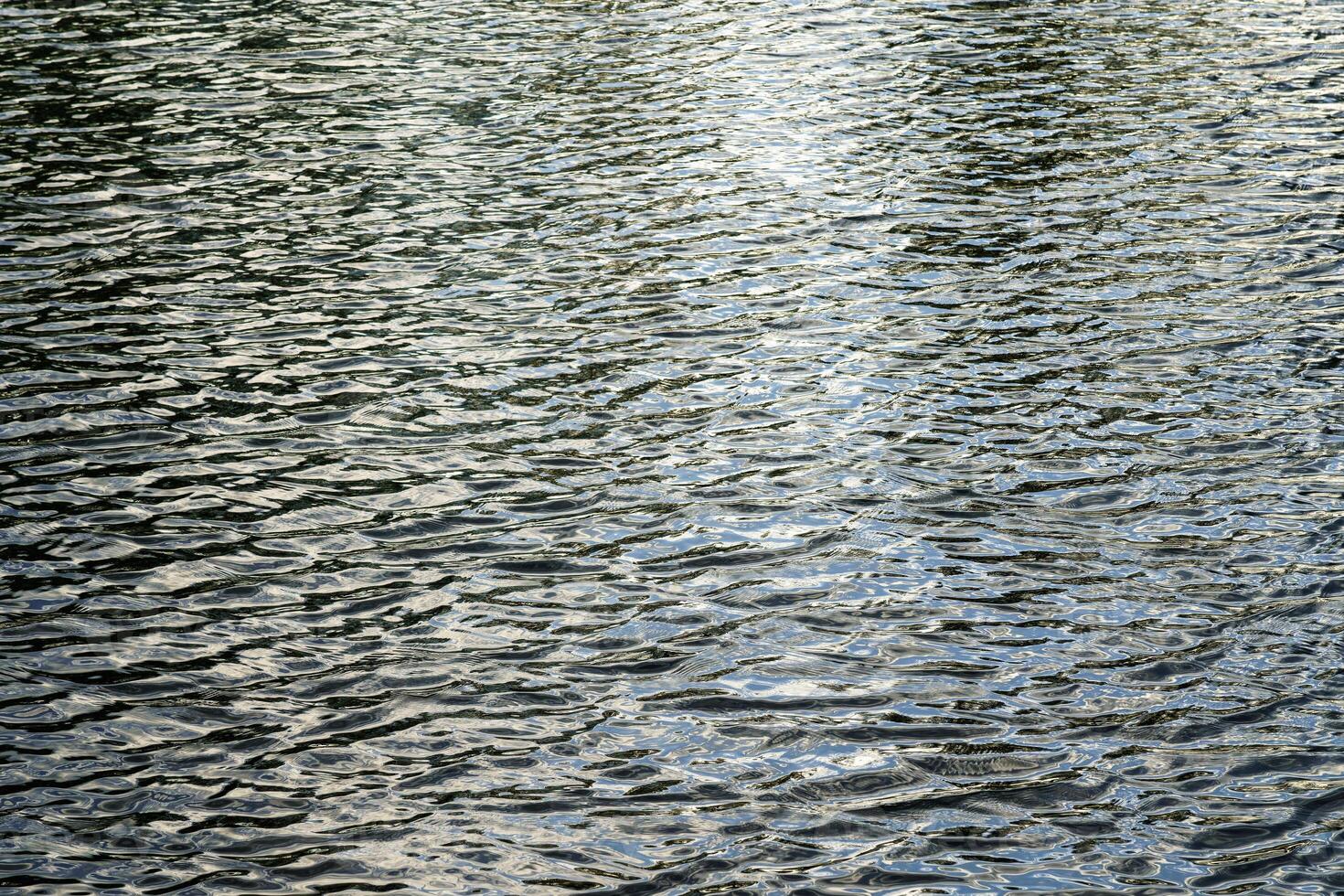 The texture of ripples on the water in a pond illuminated by the setting sun. Natural background. photo