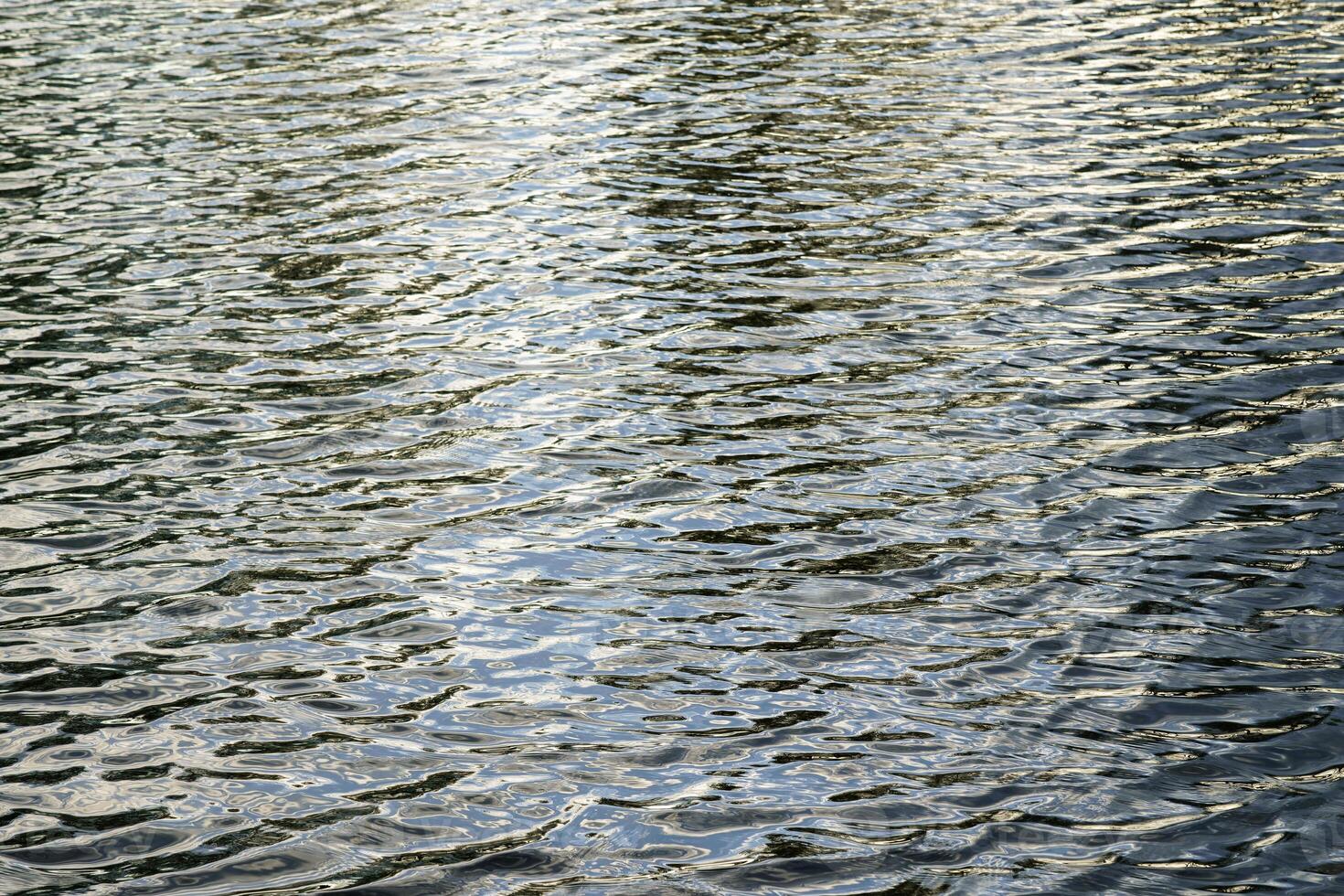 The texture of ripples on the water in a pond illuminated by the setting sun. Natural background. photo