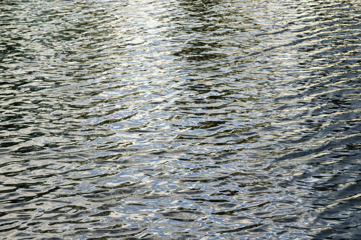The texture of ripples on the water in a pond illuminated by the setting sun. Natural background. photo