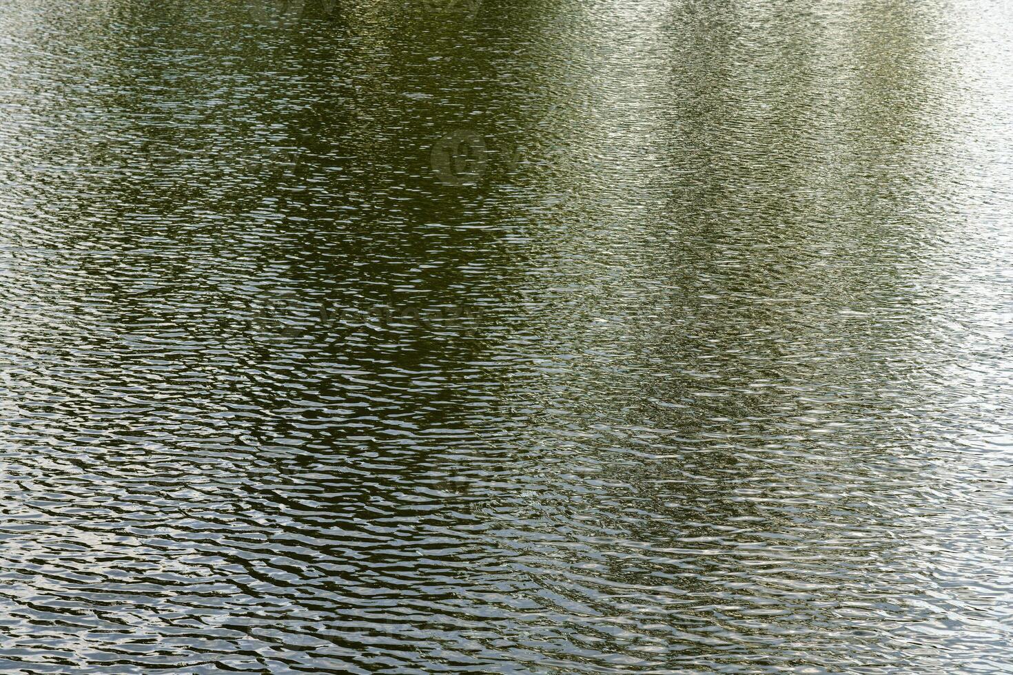 The texture of ripples on the water in a pond illuminated by the setting sun. Natural background. photo