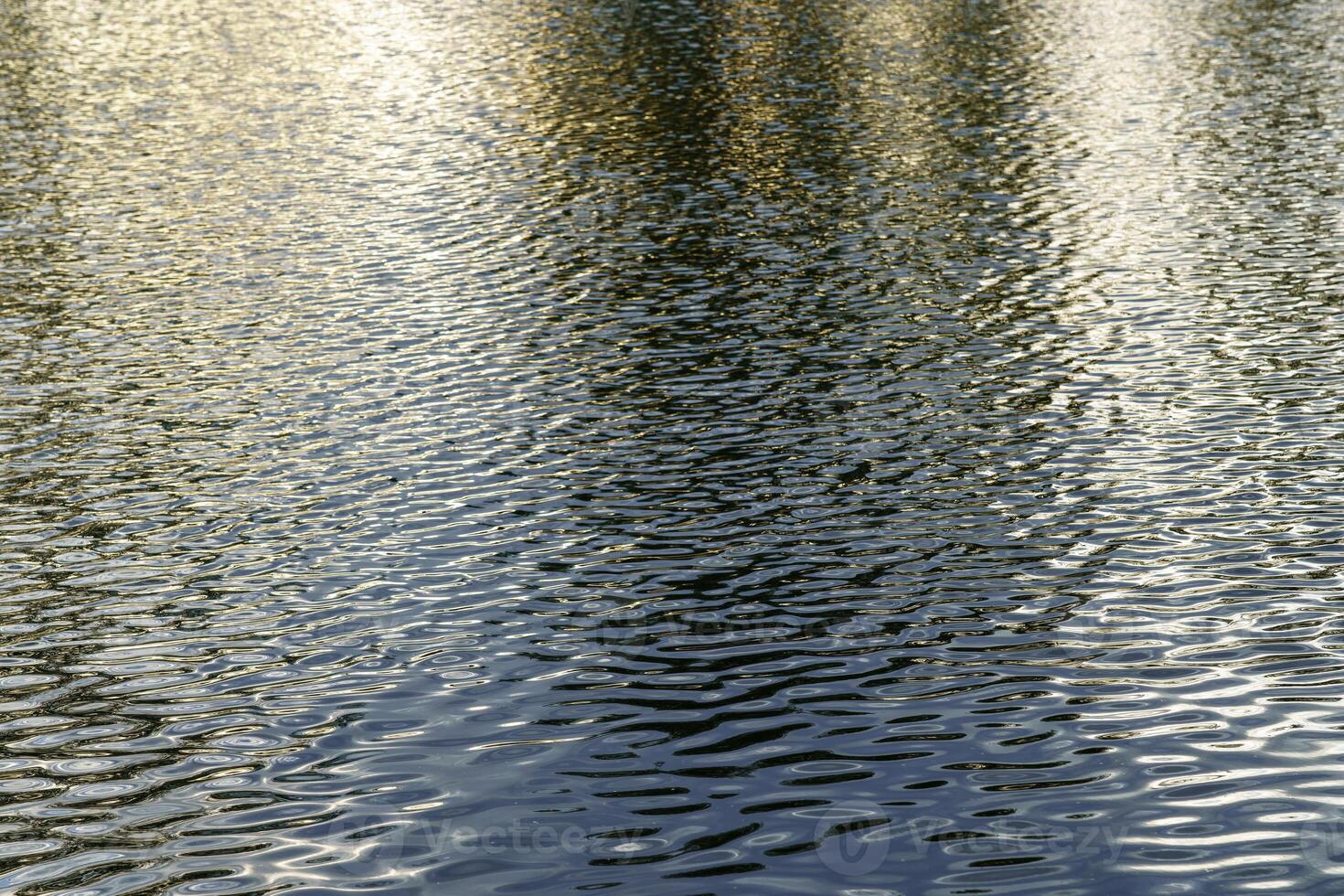 The texture of ripples on the water in a pond illuminated by the setting sun. Natural background. photo