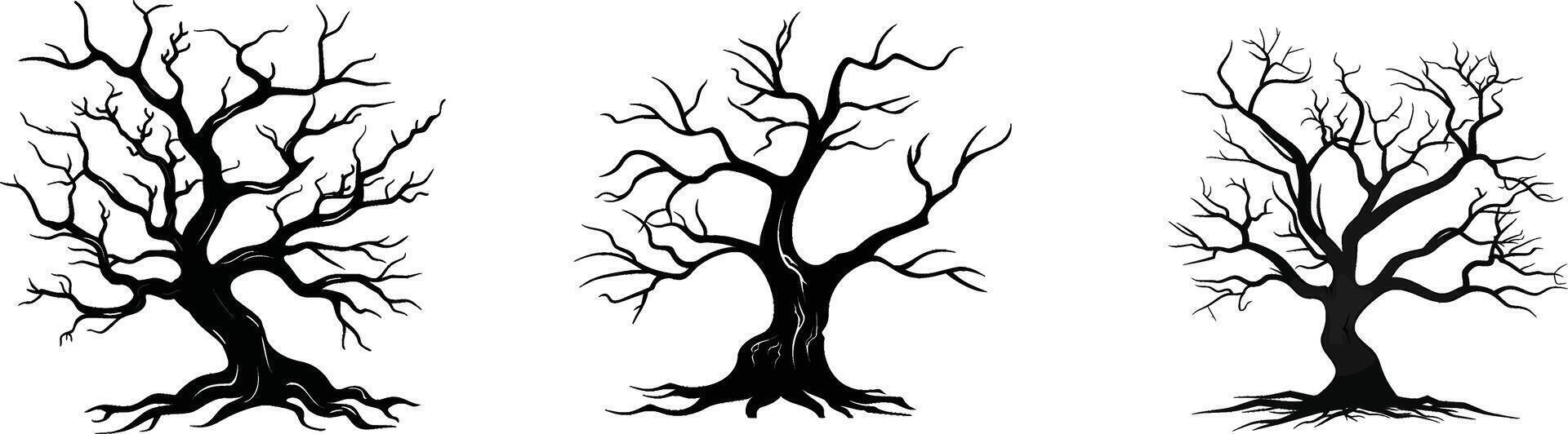 three different trees with no leaves vector