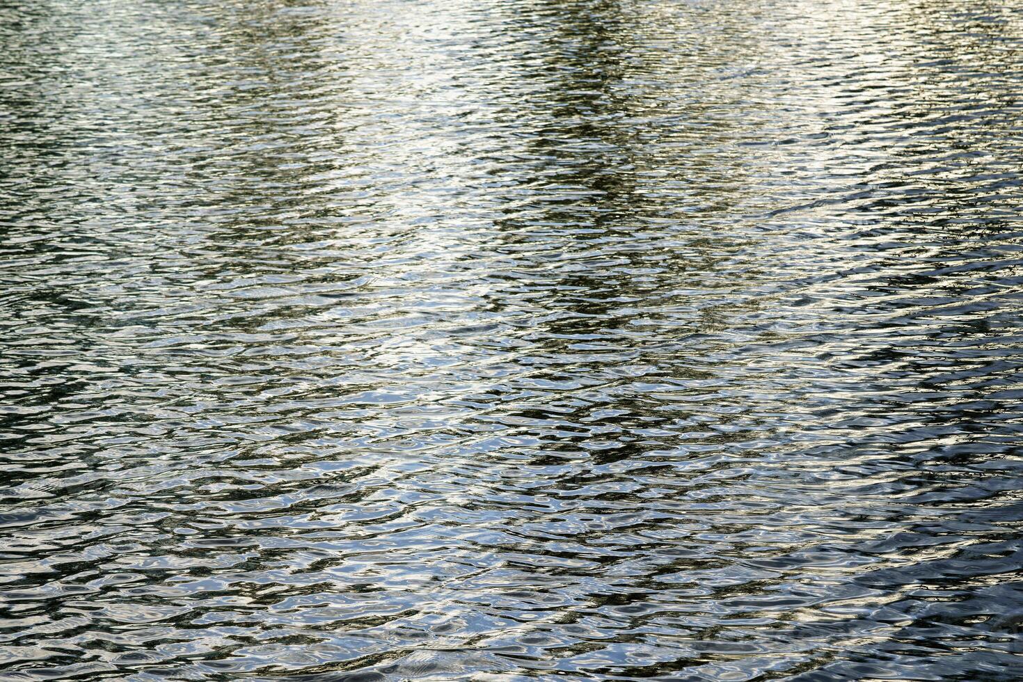 The texture of ripples on the water in a pond illuminated by the setting sun. Natural background. photo