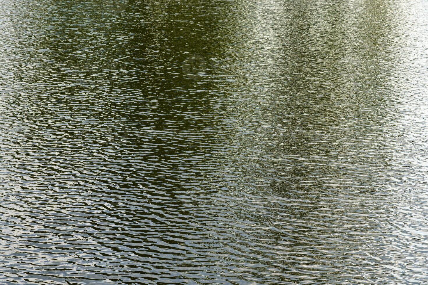 The texture of ripples on the water in a pond illuminated by the setting sun. Natural background. photo