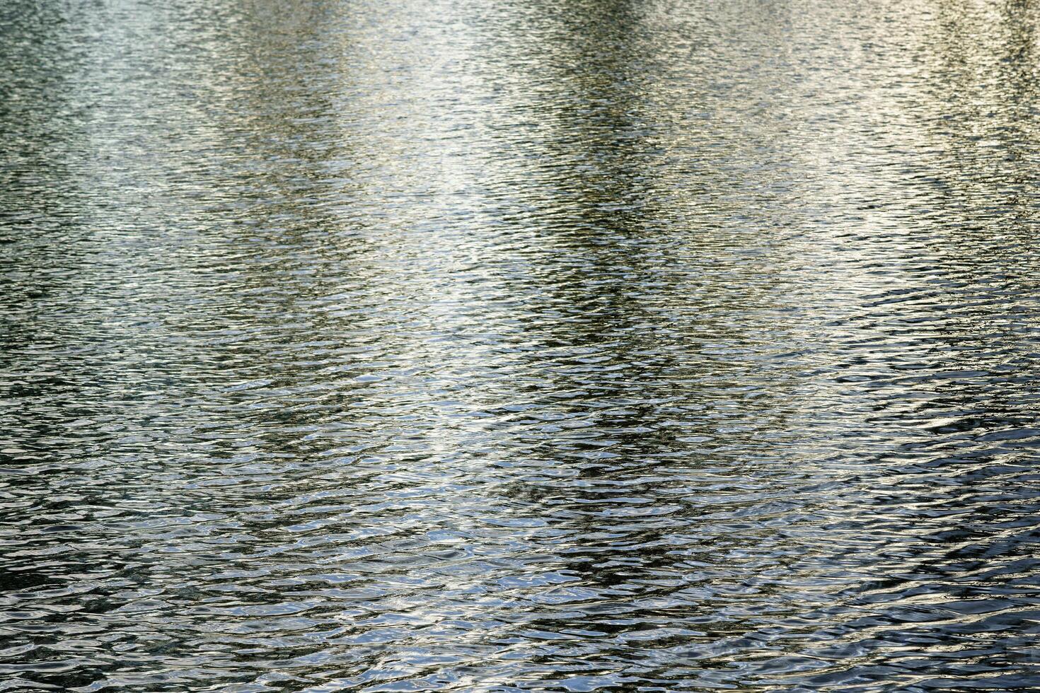 The texture of ripples on the water in a pond illuminated by the setting sun. Natural background. photo