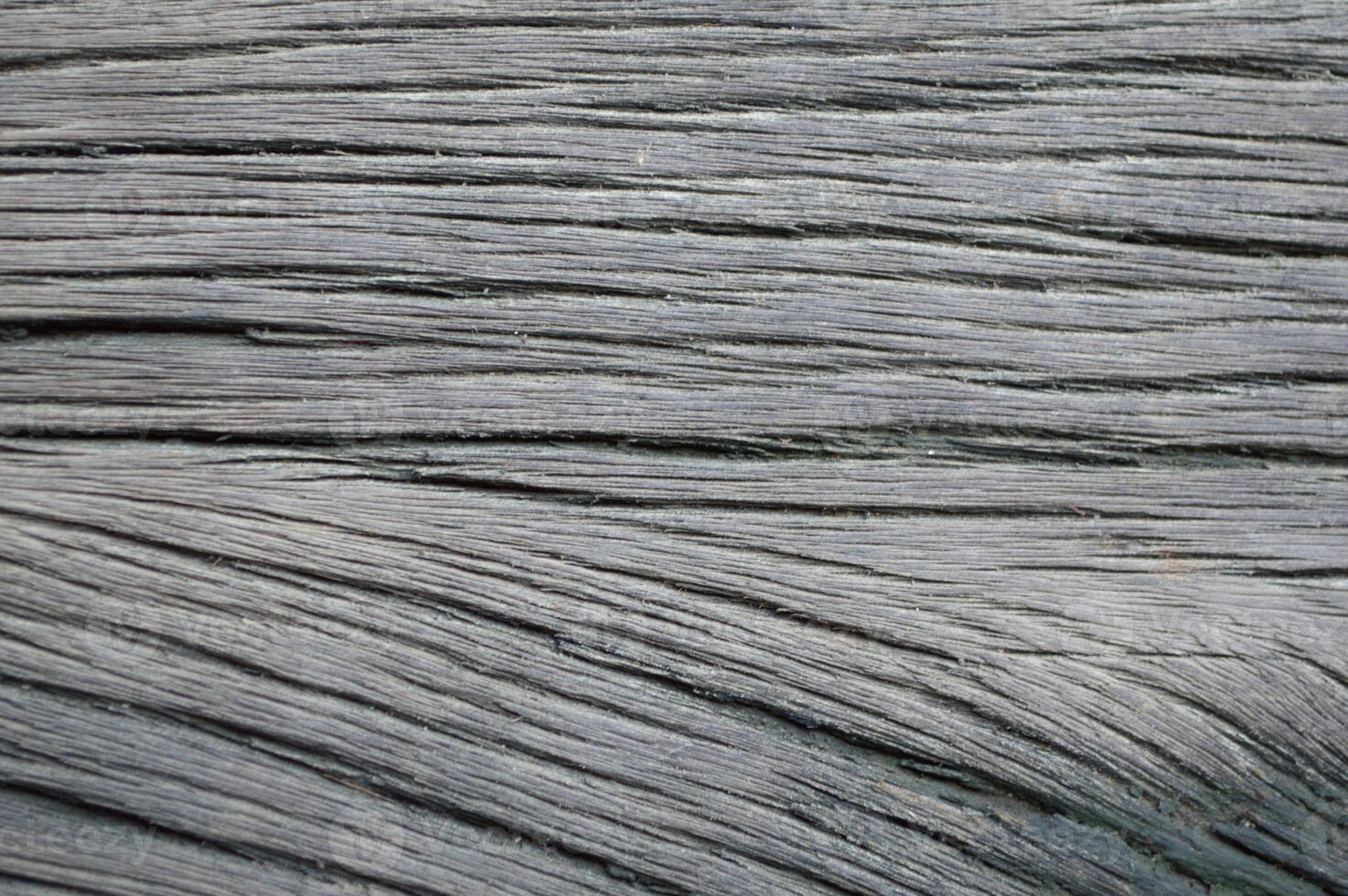 close up of wood texture photo