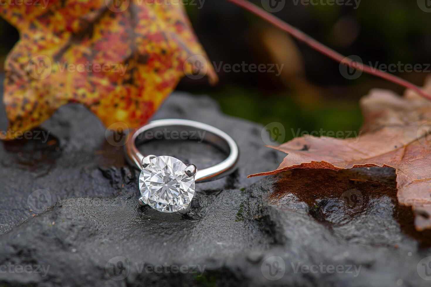 solitaire diamond rings on a stone with autumn leaves photo