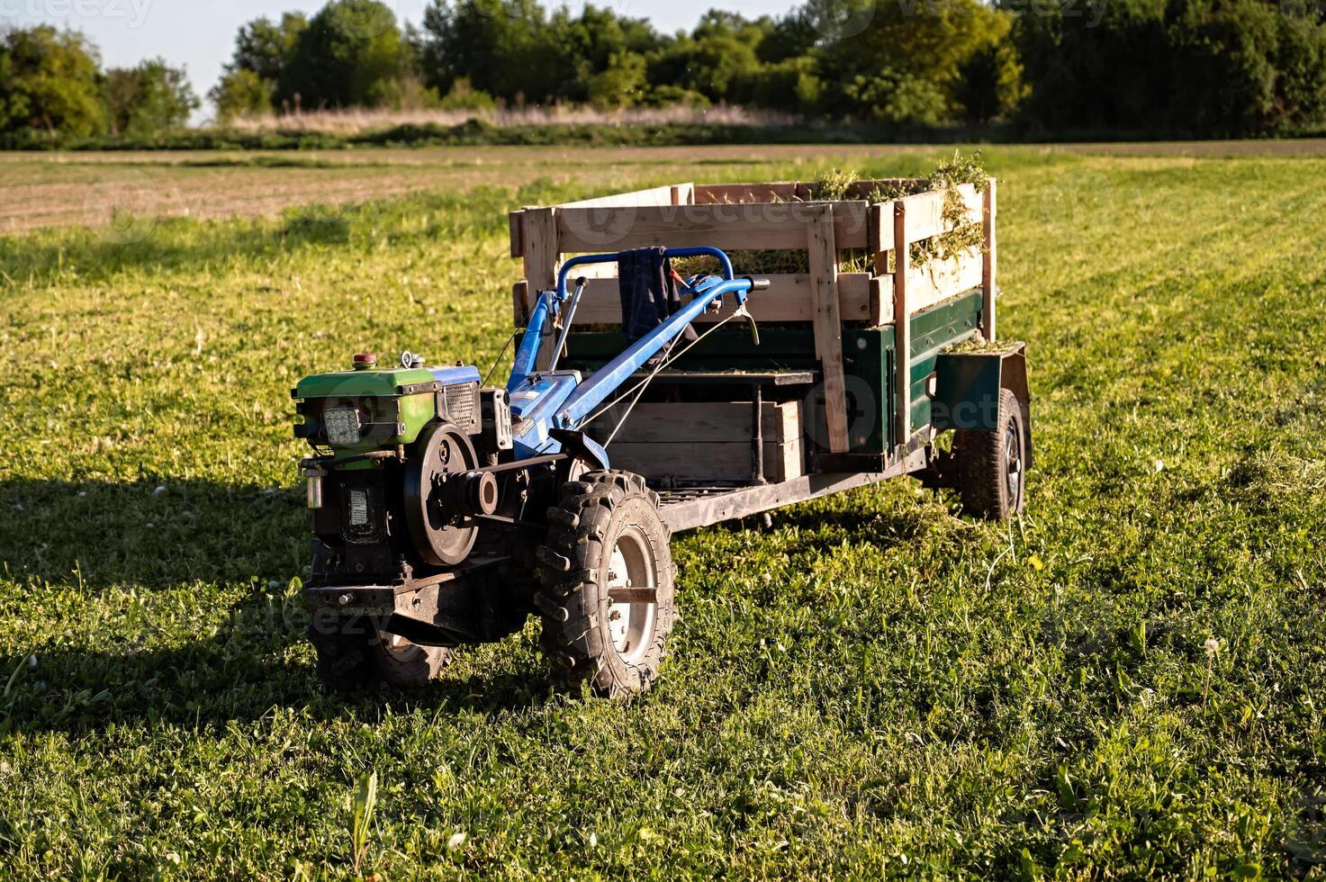 Agricultural mini-tractor with a trailer in a field on a sunny summer day. photo