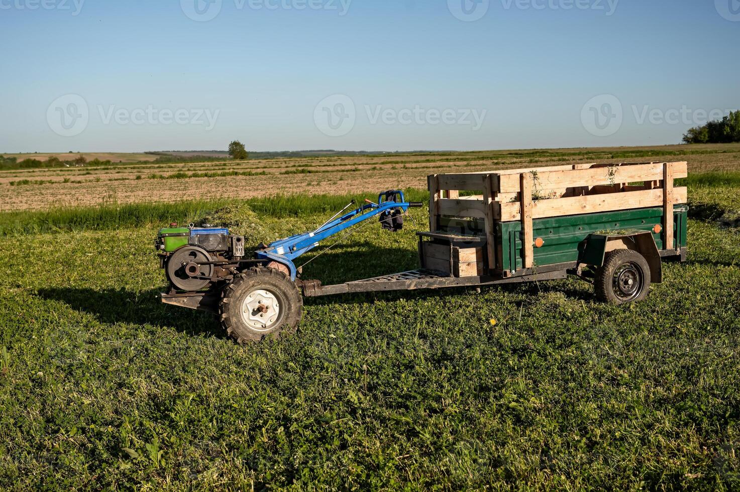 Agricultural mini-tractor with a trailer in a field on a sunny summer day. photo