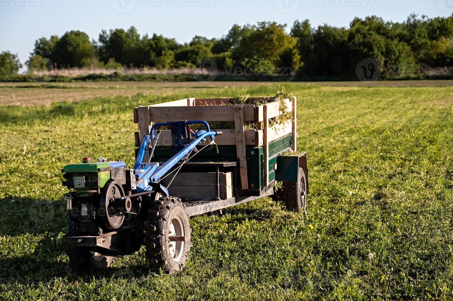 Agricultural mini-tractor with a trailer in a field on a sunny summer day. photo