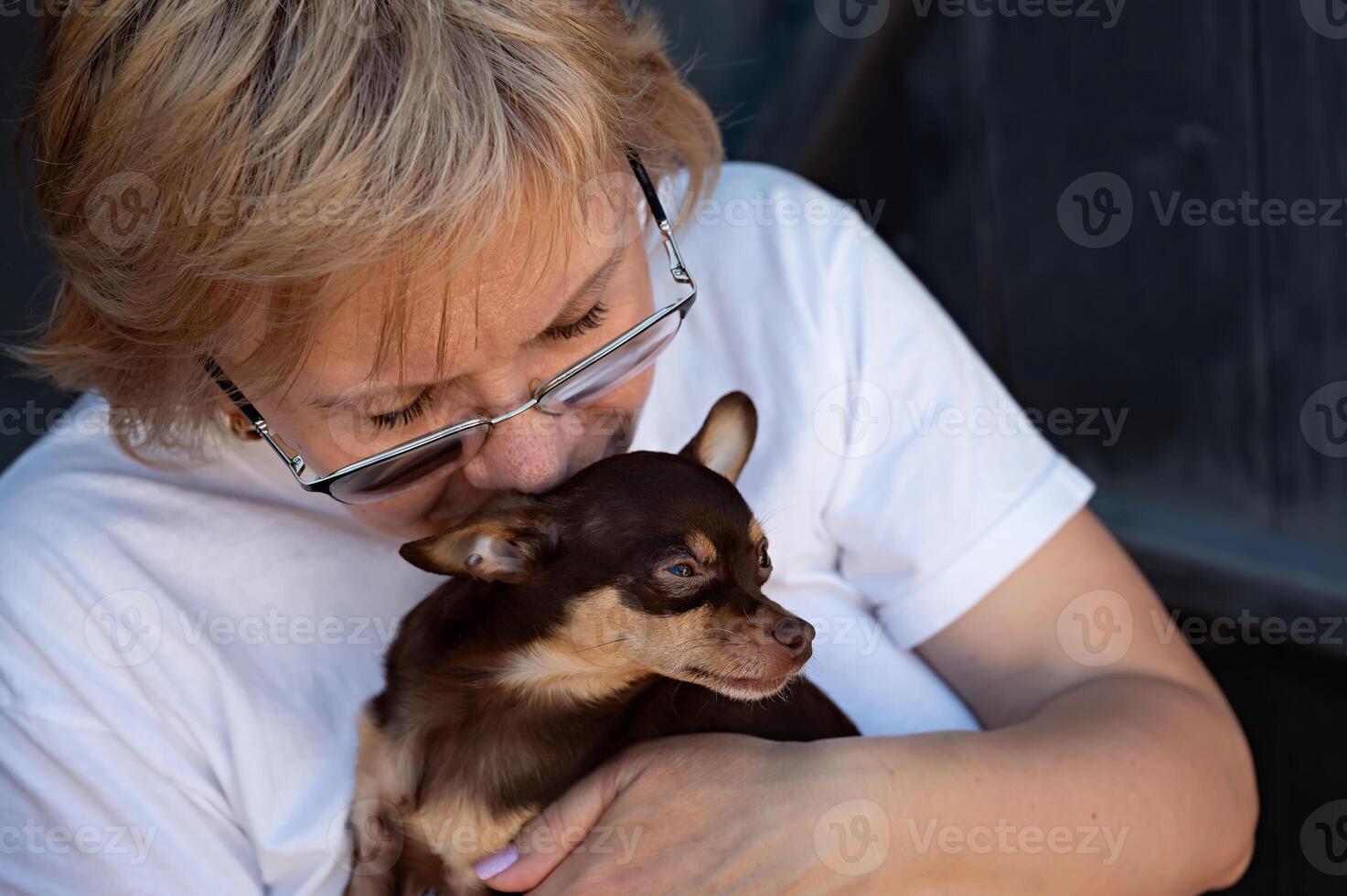 adult woman holding a small chihuahua puppy in her arms, close up photo