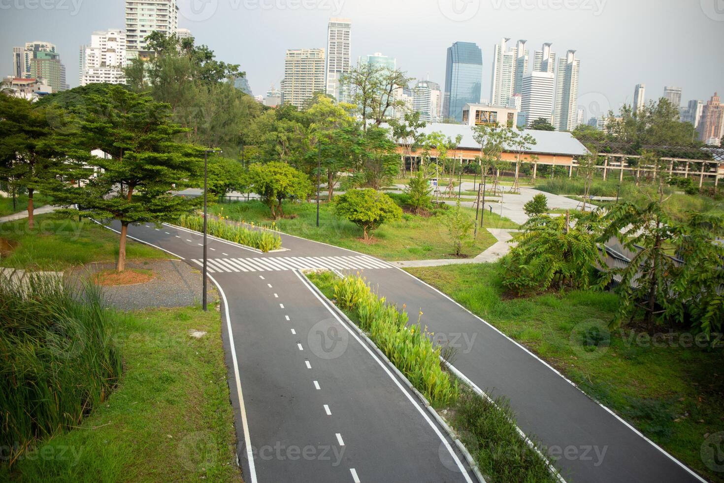 The road street cuts through the forest wood park with tree leaf shadow from sun rays in summer sunrise background and city photo