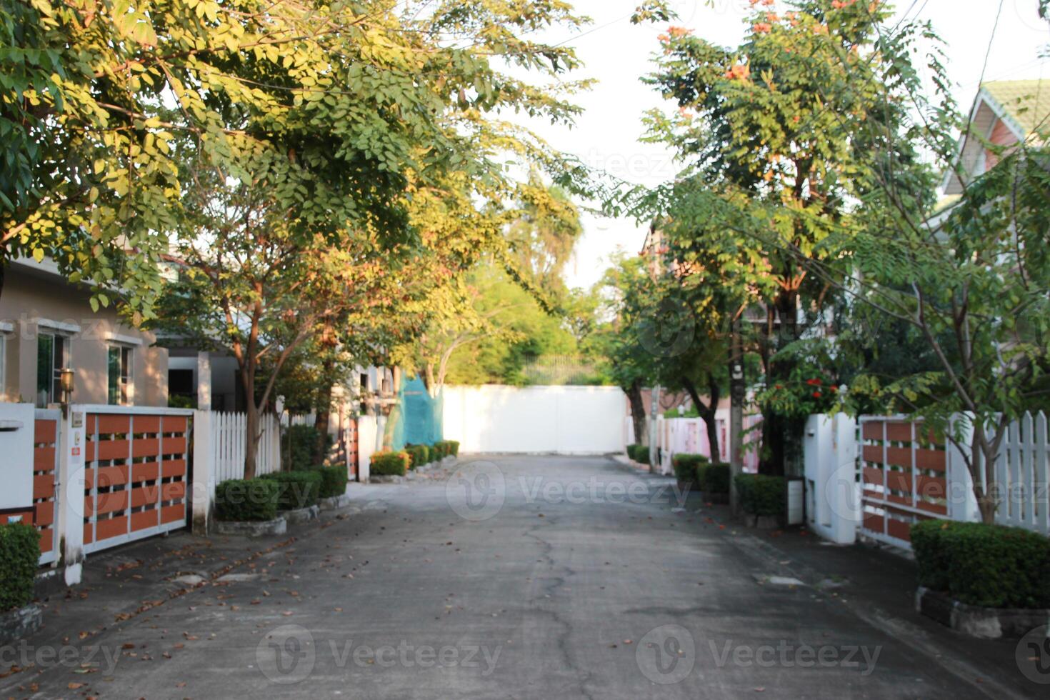 The road between house home Housing estate fences with tree and sky background photo