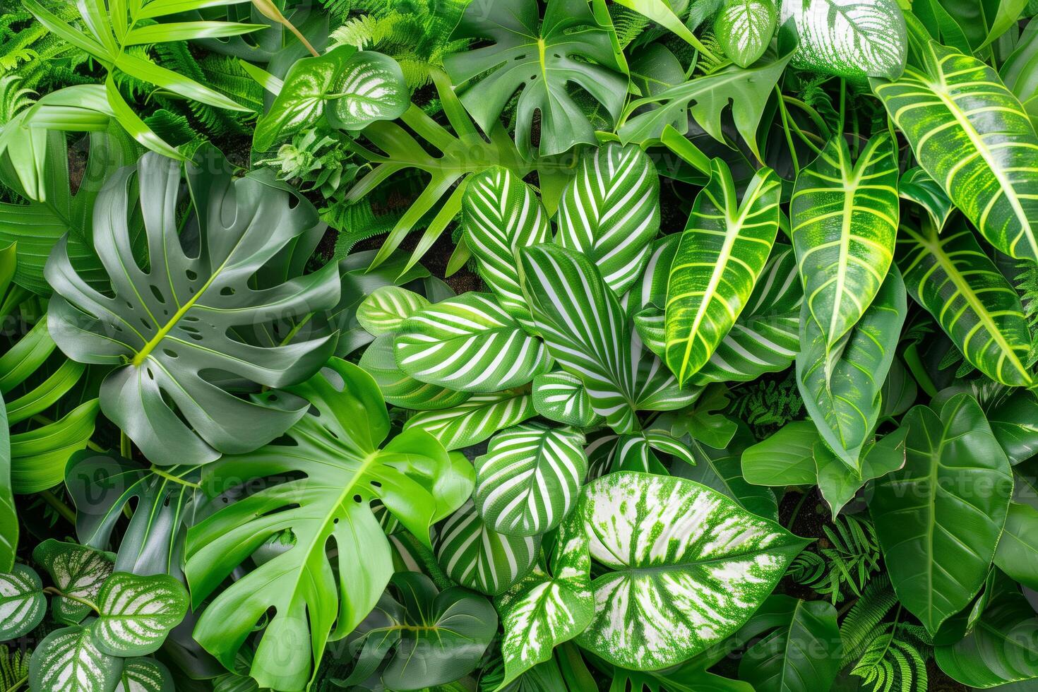 Top view of green leaves background, nature and environment concept with text space photo