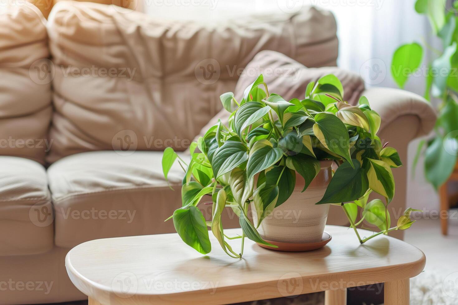 Modern interior design shines with a houseplant in a pot on the living room table photo