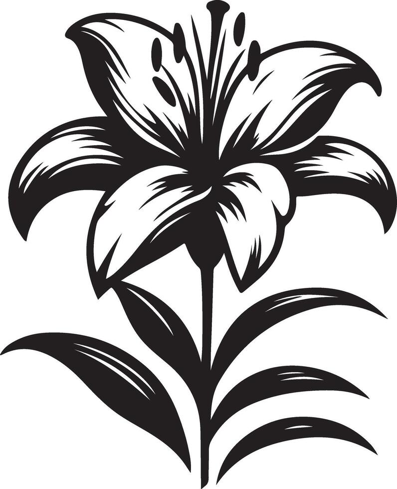 Lily flower Silhouette illustration vector
