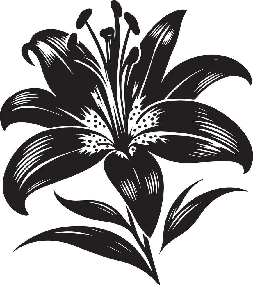 Lily flower Silhouette illustration vector