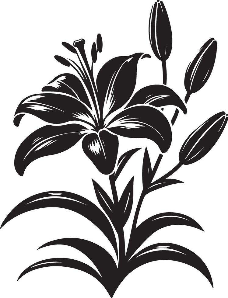 Lily flower Silhouette illustration vector