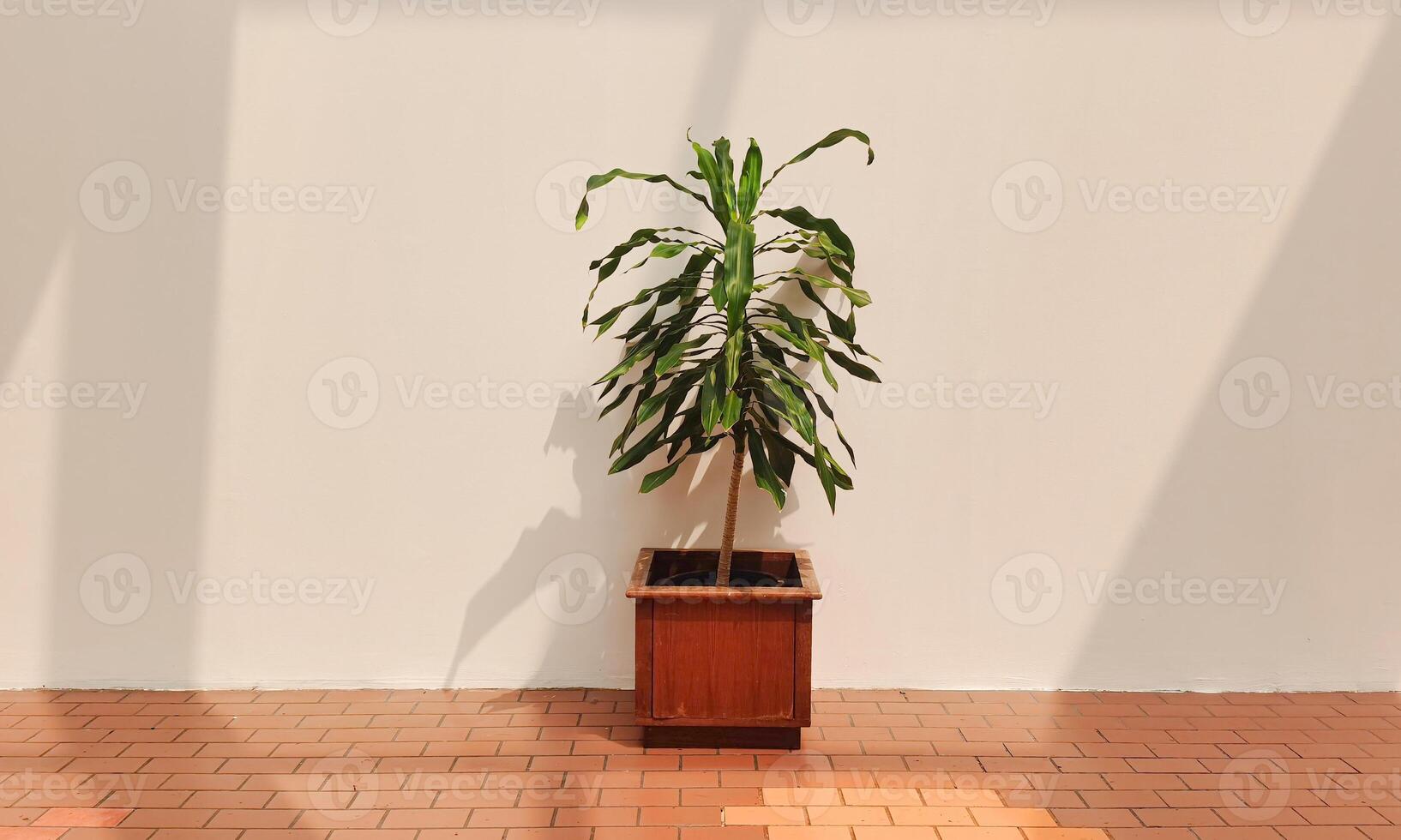 Plants in pots on red brick floor beige wall background photo