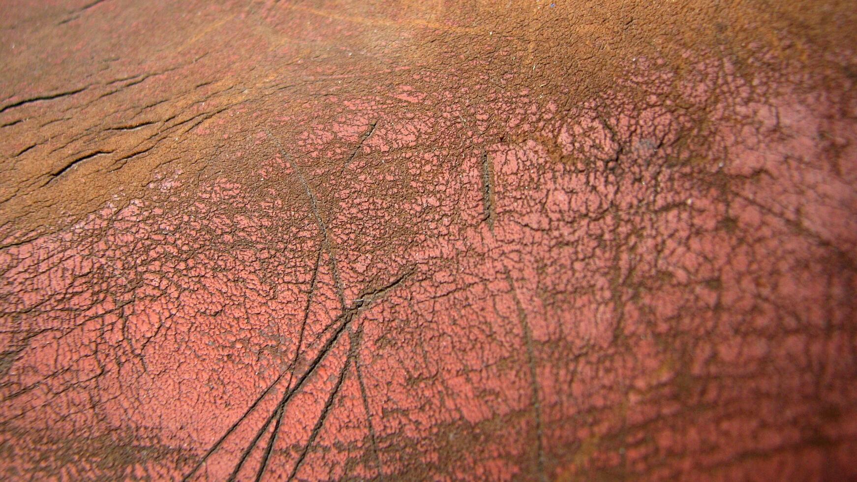a close up of a red and brown leather surface photo