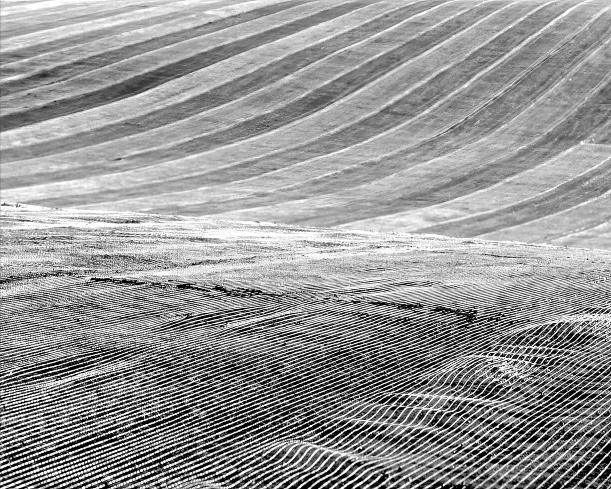 Natural abstract black and white monochrome background for covers photo