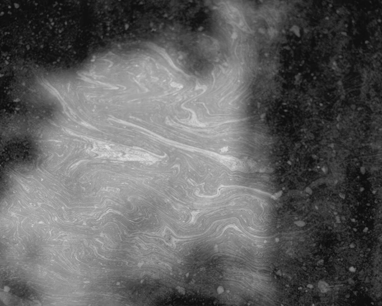 Abstract black and white photo background close view. Natural pattern surface