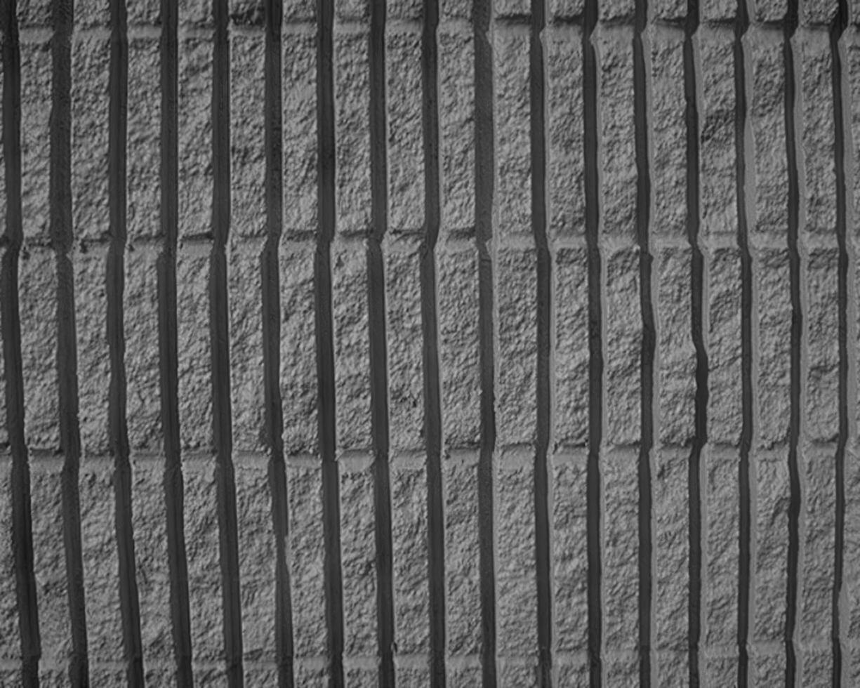 Abstract black and white photo background close view. Natural pattern surface