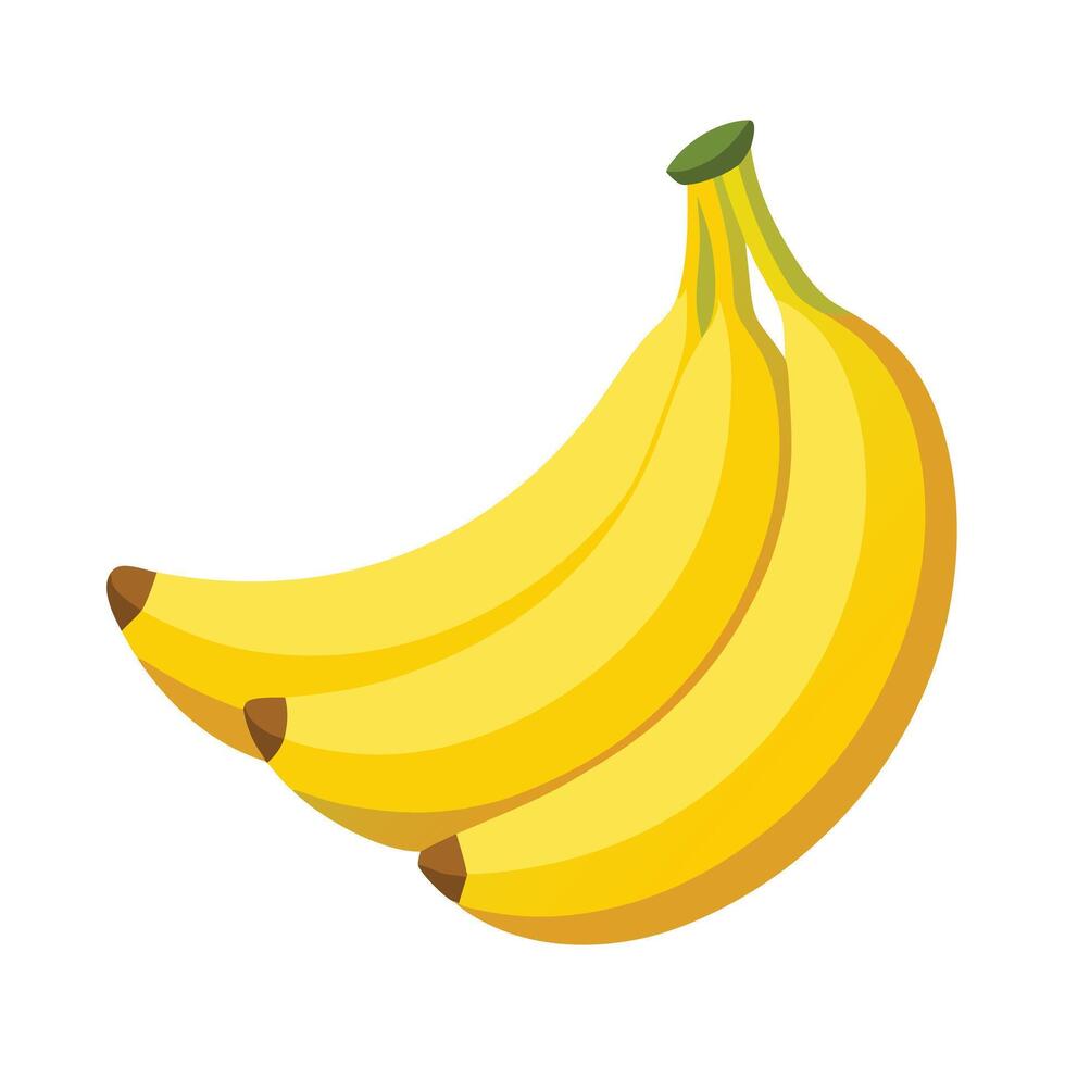 yellow ripe banana illustration, hand-drawn banana vector