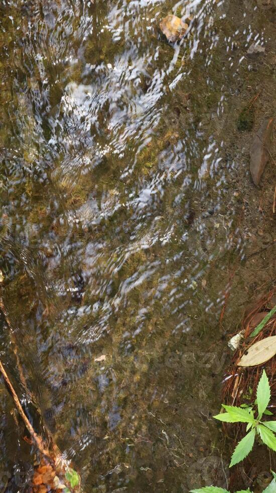 clear source water flows in the background photo