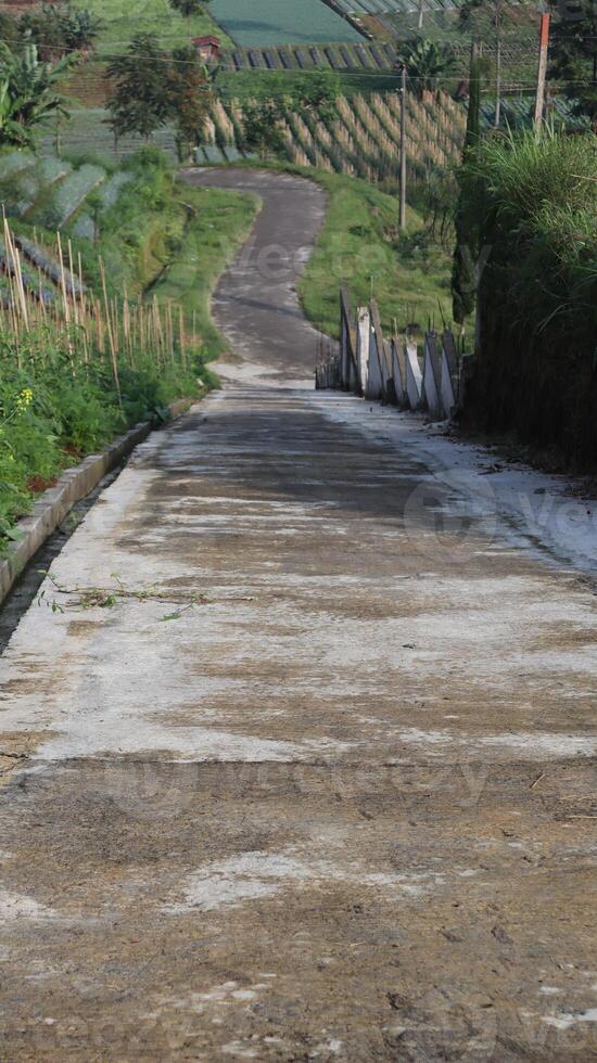 cast derivative road next to fields in the highland area photo