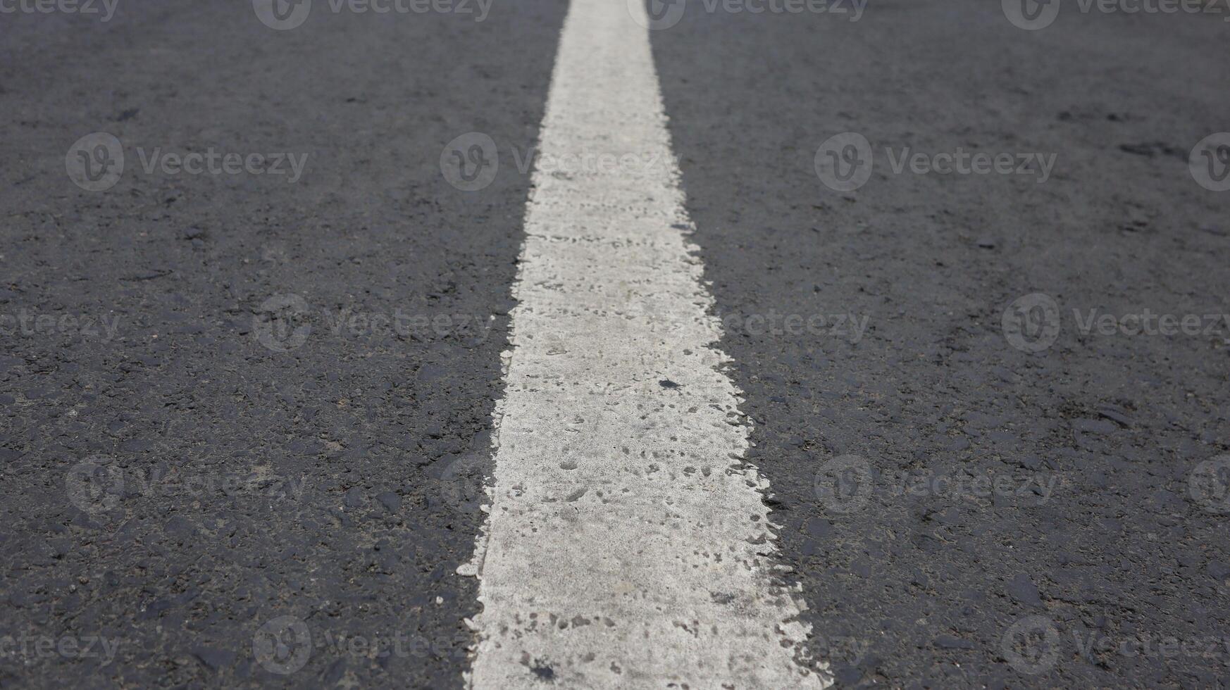 close up of the texture of a paved road in the middle of the forest photo