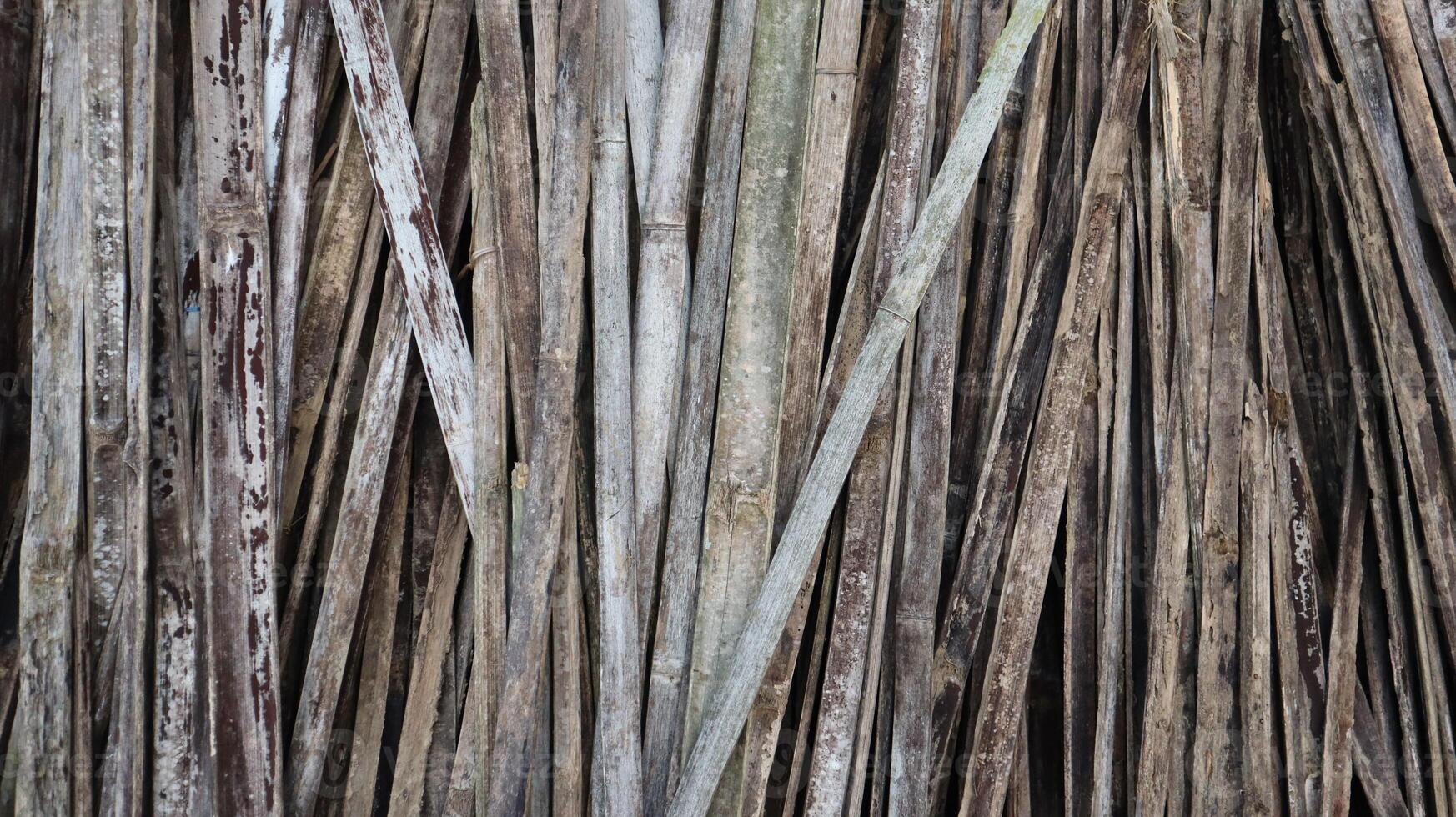 Textured old bamboo pieces as background. Wooden background, texture of vertical bamboo pieces photo