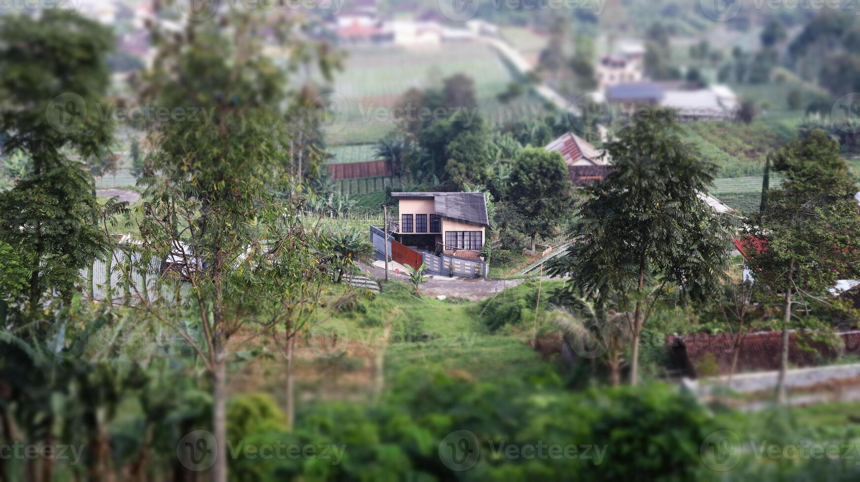 views of the rural landscape and plantations in the highlands photo